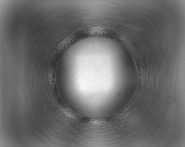 X0000054380619200508191914