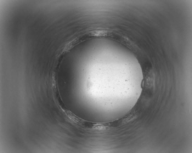 X0000054380620200508191914