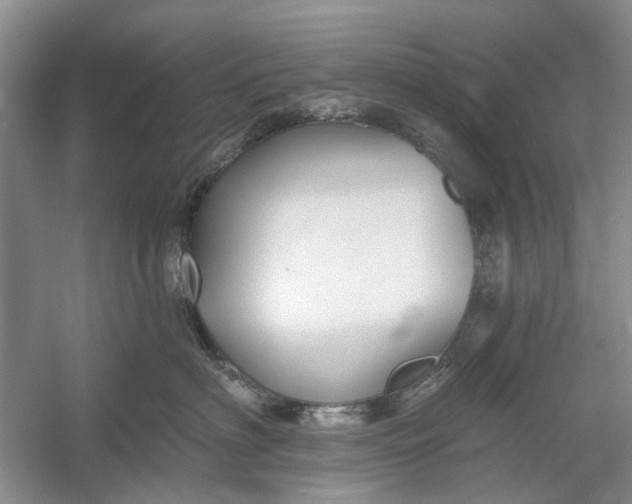 X0000054380622200508191914