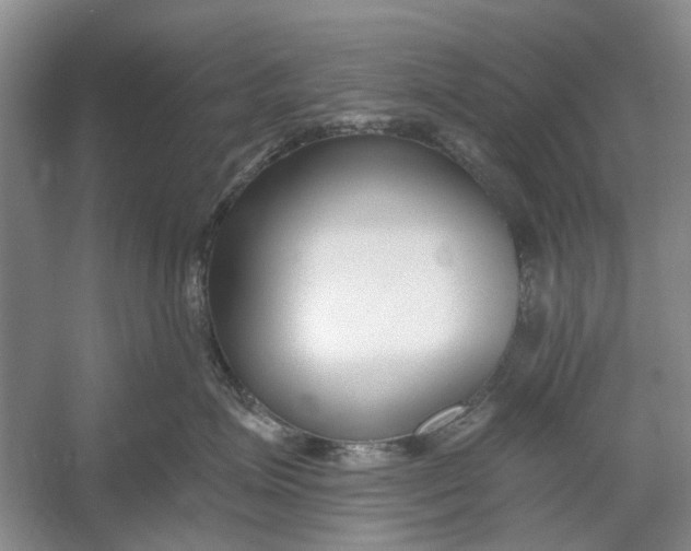 X0000054380623200508191914