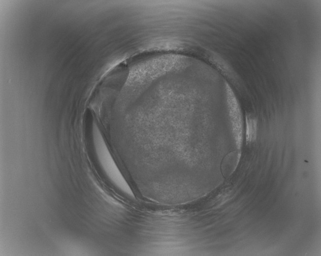 X0000054380627200508191913