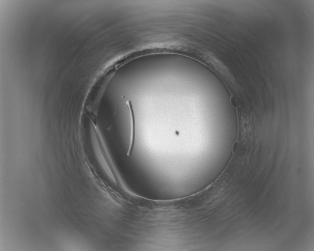 X0000054380628200508191913