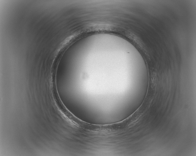 X0000054380629200508191913