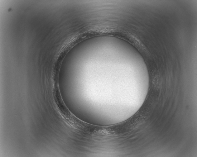 X0000054380635200508191913