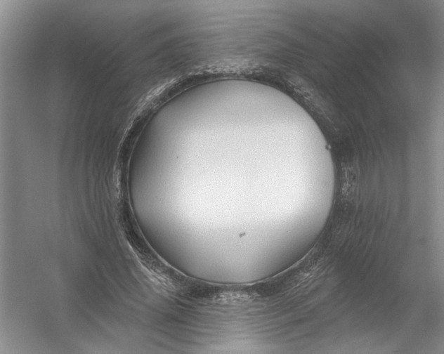 X0000054380636200508191913