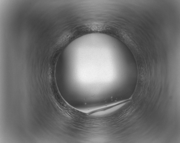 X0000054380639200508191913