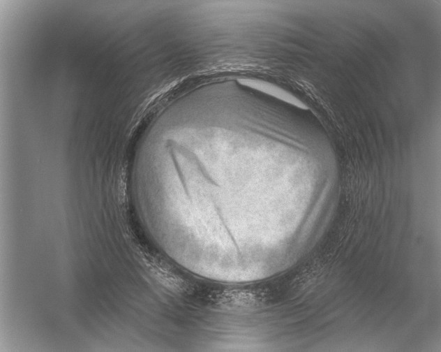 X0000054380640200508191913