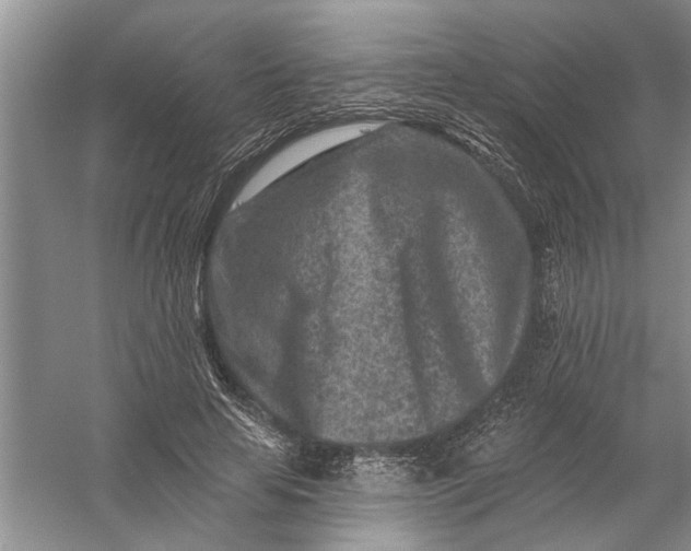 X0000054380641200508191913