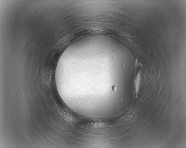 X0000054380645200508191914