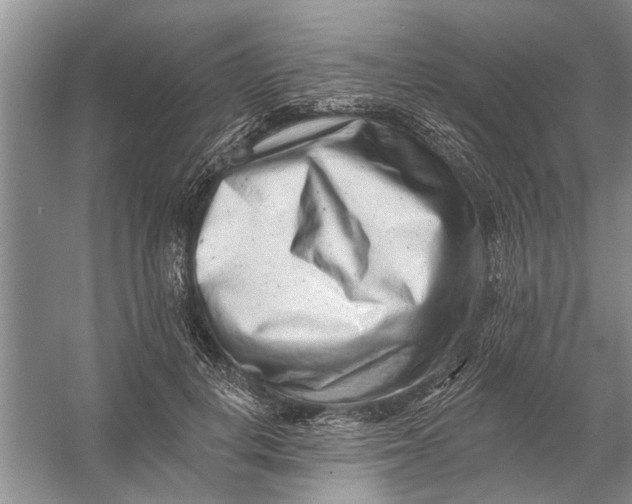 X0000054380648200508191914