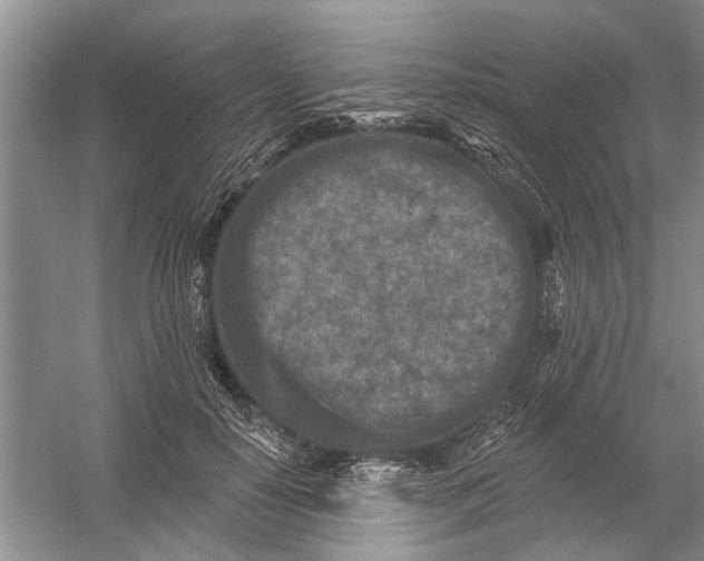 X0000054380650200508191914