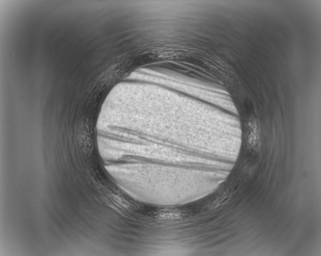 X0000054380653200508191914