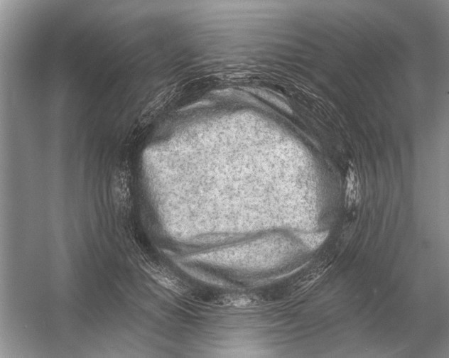 X0000054380654200508191914