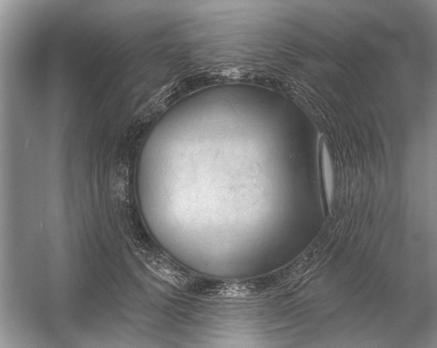 X0000054380656200508191914