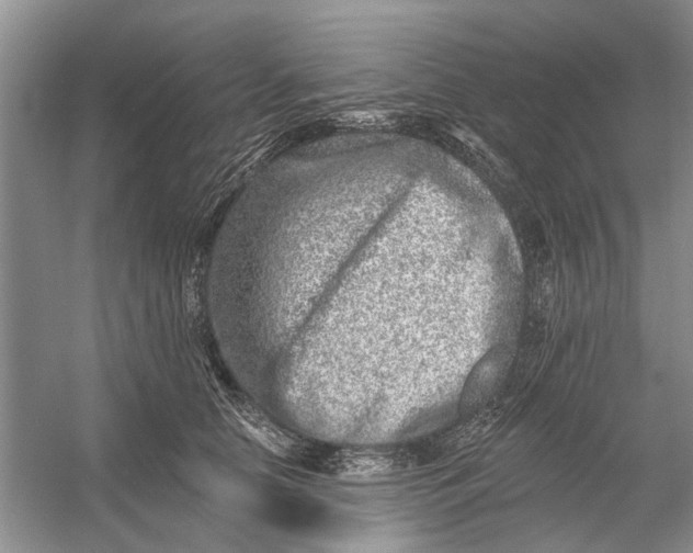 X0000054380658200508191914