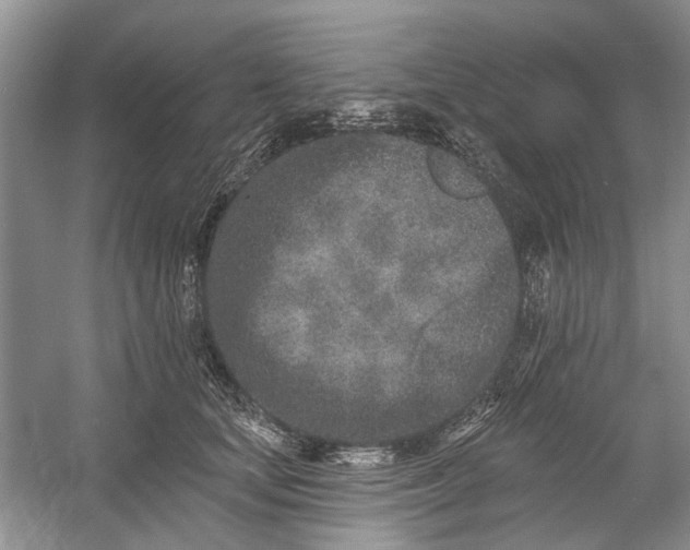 X0000054380659200508191914