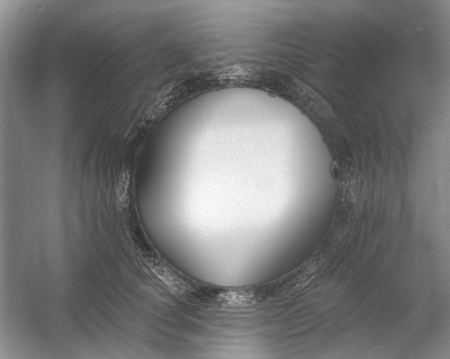 X0000054380660200508191914