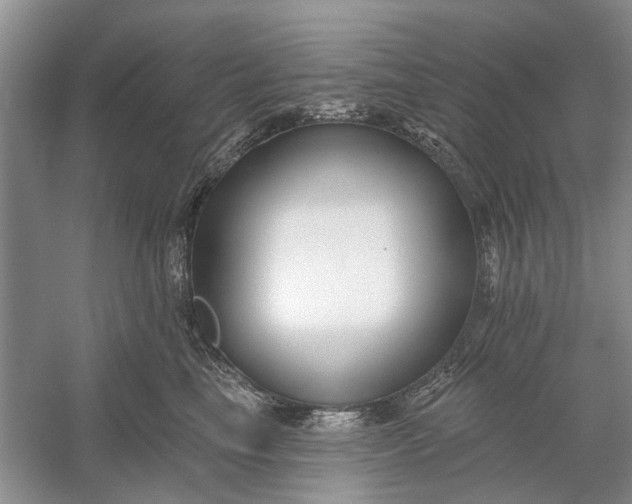 X0000054380665200508191914