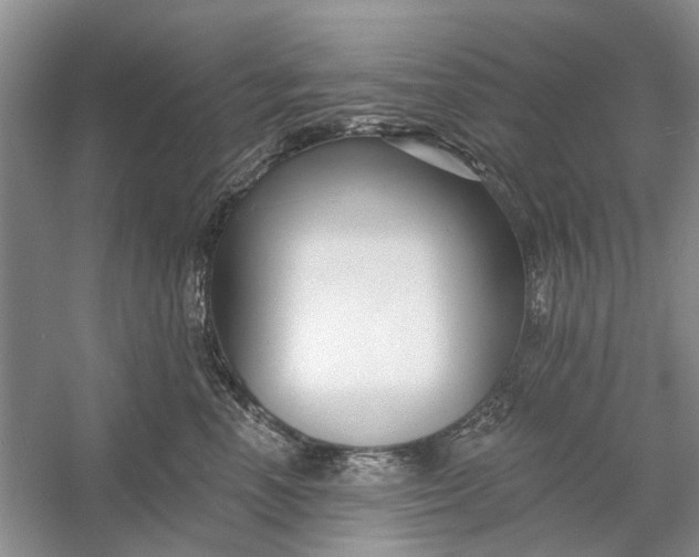 X0000054380666200508191914