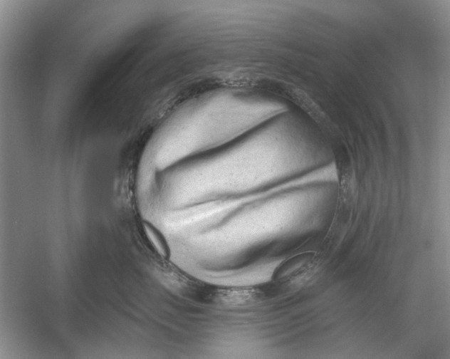 X0000054380671200508191914