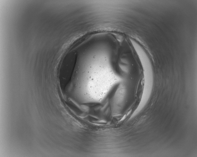 X0000054380673200508191913