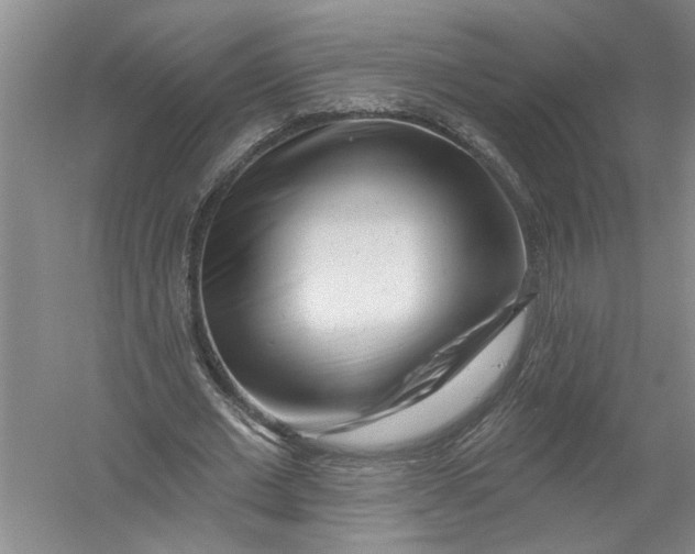 X0000054380677200508191913