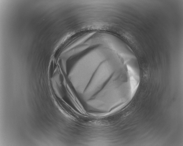 X0000054380678200508191913