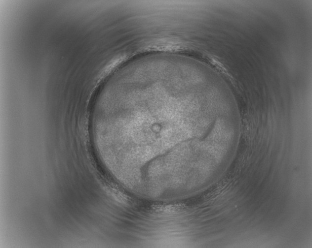 X0000054380679200508191913