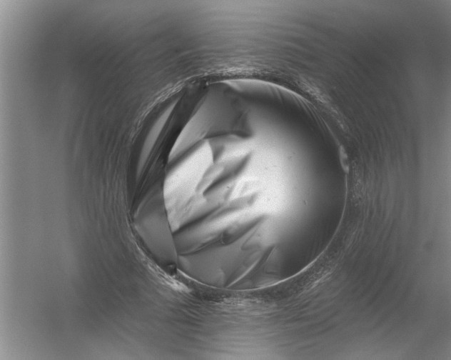 X0000054380681200508191913