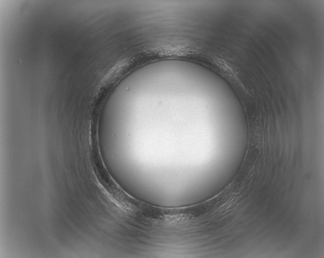 X0000054380686200508191913