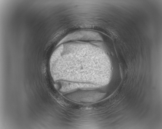 X0000054380687200508191913