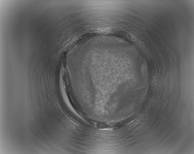 X0000054380689200508191913