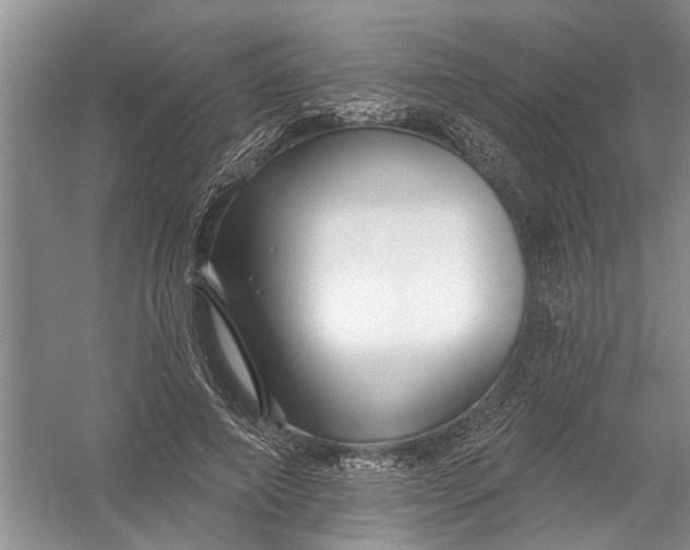 X0000054380690200508191913