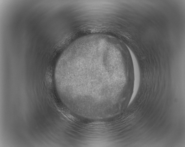 X0000054380691200508191913