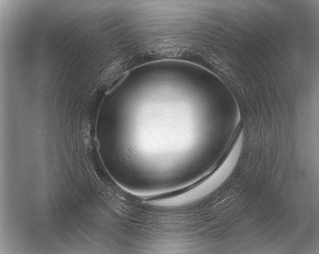 X0000054380693200508191913