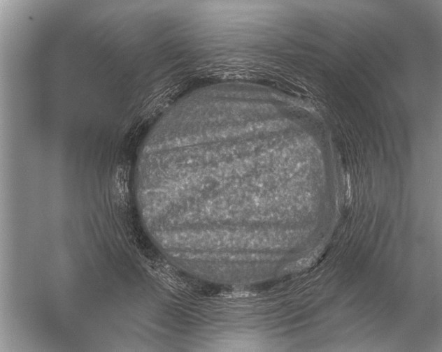 X0000054380695200508191913