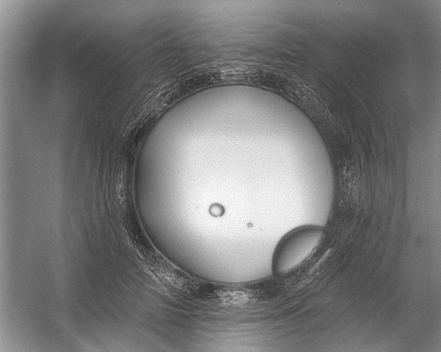 X0000054380698200508191913