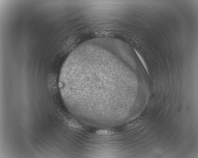 X0000054380699200508191913