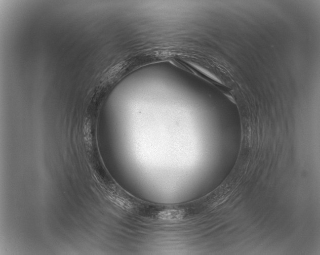 X0000054380700200508191913