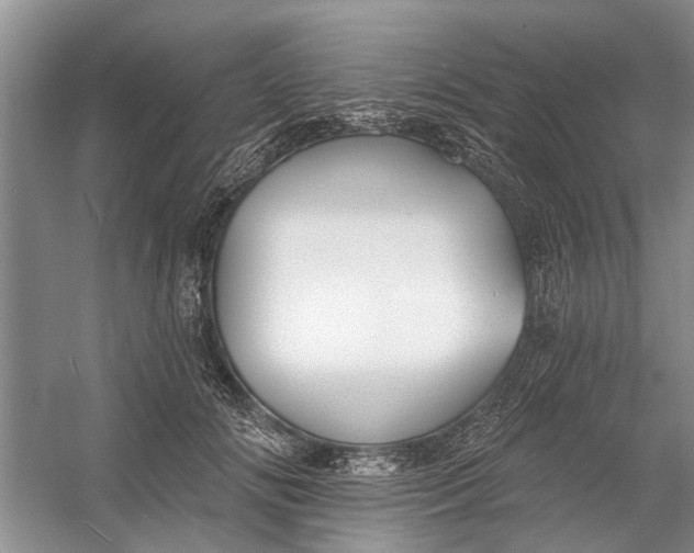 X0000054380702200508191913