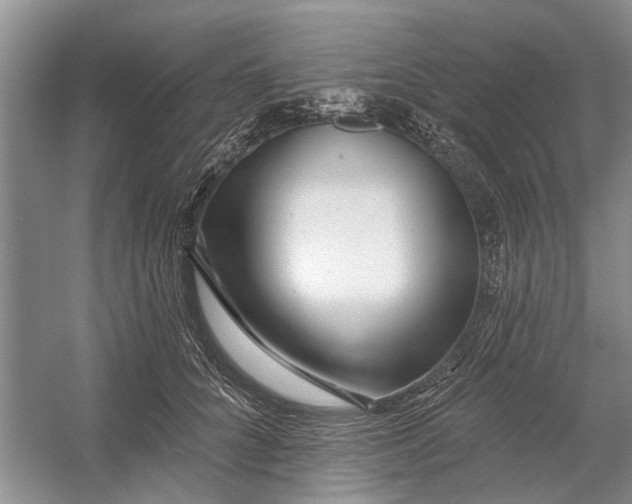 X0000054380704200508191913