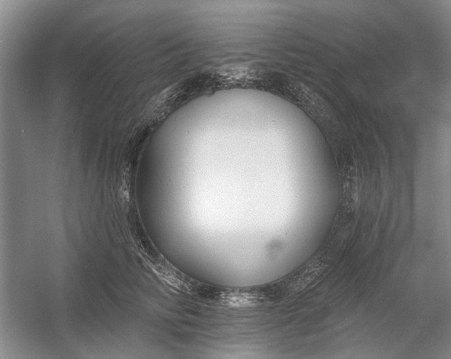 X0000054380710200508191913