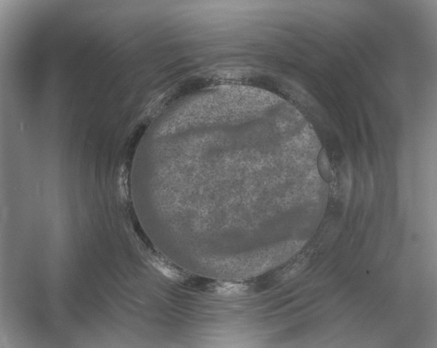 X0000054380718200508191912