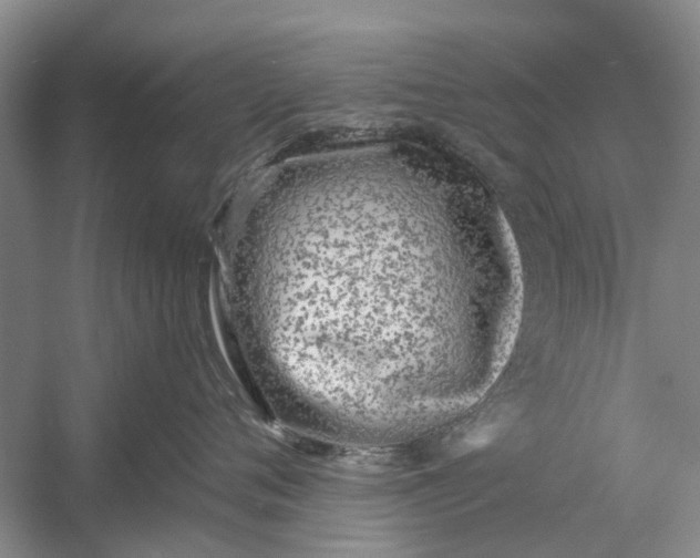 X0000054380720200508191912