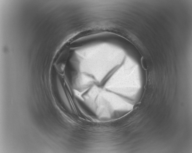 X0000054380722200508191912