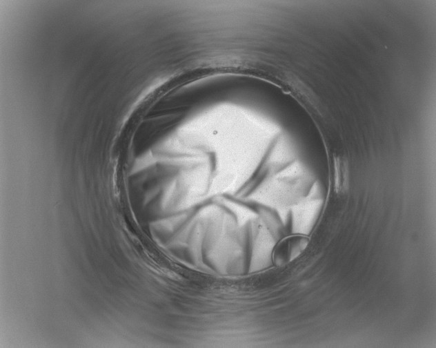 X0000054380723200508191912