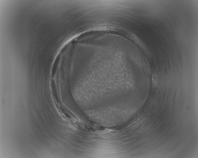 X0000054380724200508191912