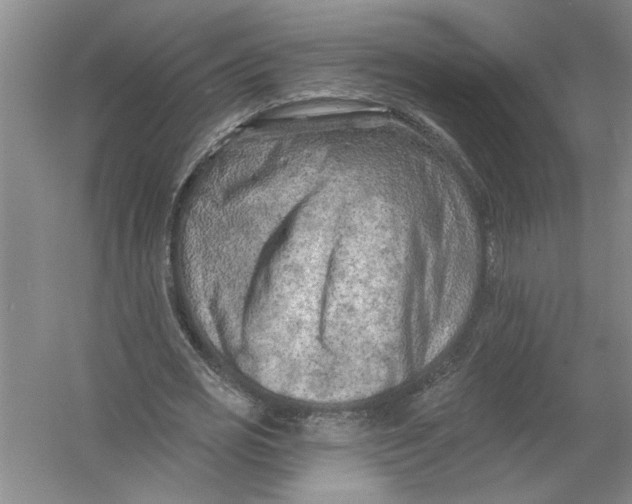 X0000054380725200508191912