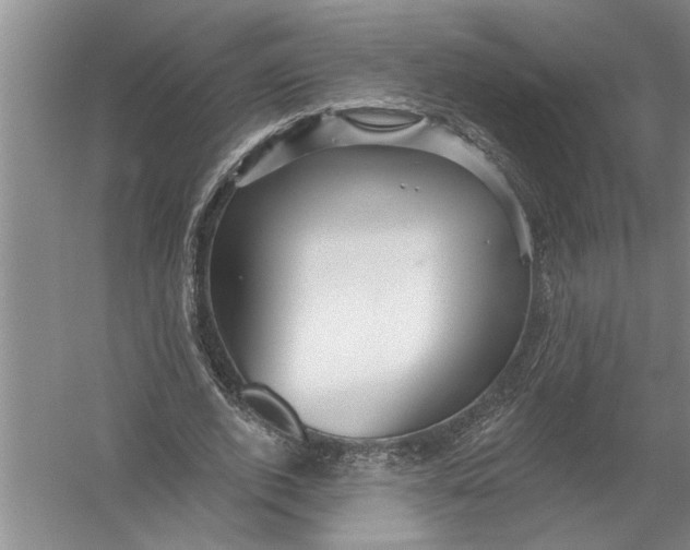 X0000054380728200508191912