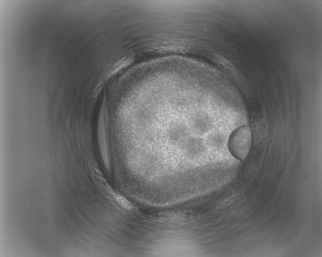 X0000054380729200508191912